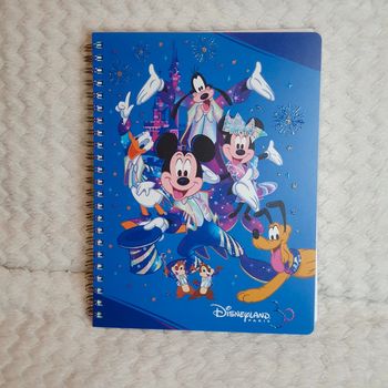 Disneyland paris 30 ans Mickey Mouse Carnets A5 Family