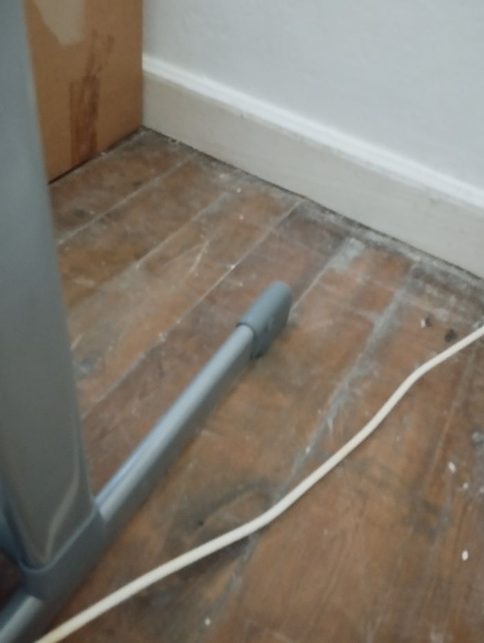 Cododo - photo numéro 3