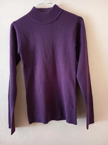 Pull femme col montant. (D71)