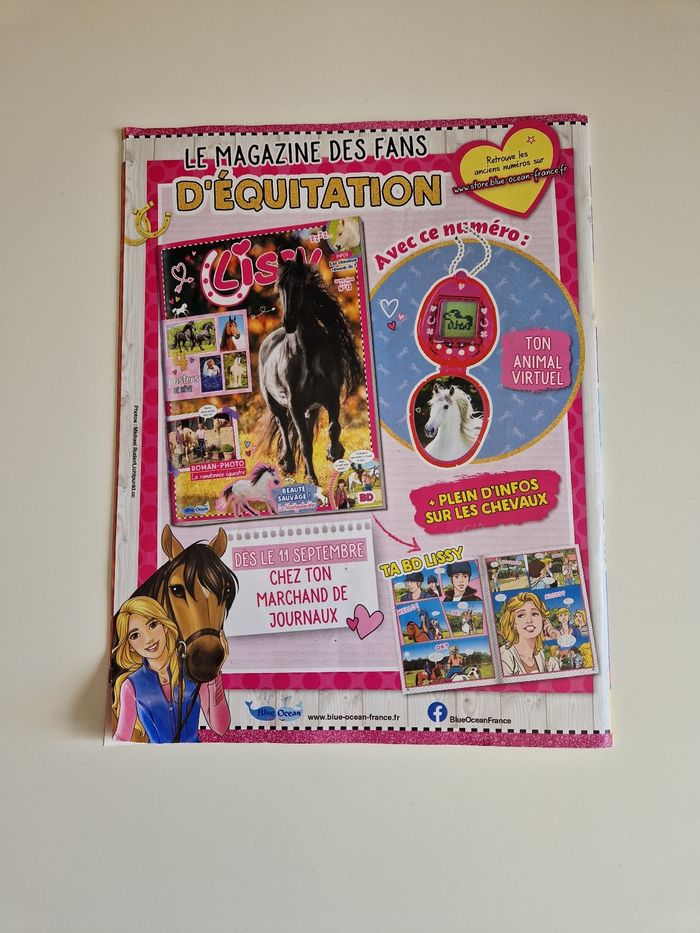 Lot de 5  cahiers Miraculous - photo numéro 10