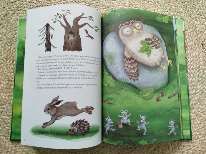 Livre enfant, Le Hibou part en vacances, Skogsliv, Ikea, Neuf - photo numéro 3