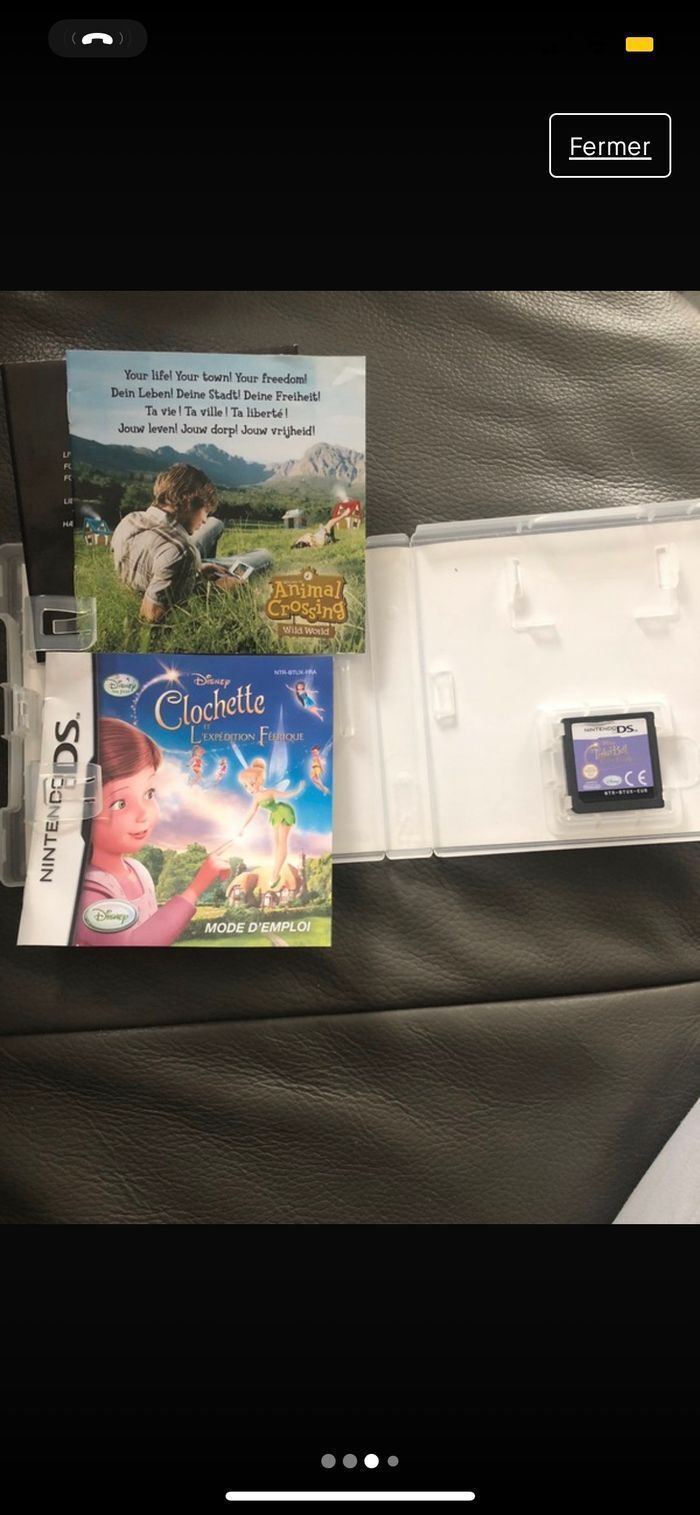 Jeu Nintendo DS Clochette et l’expédition Féerique - photo numéro 4