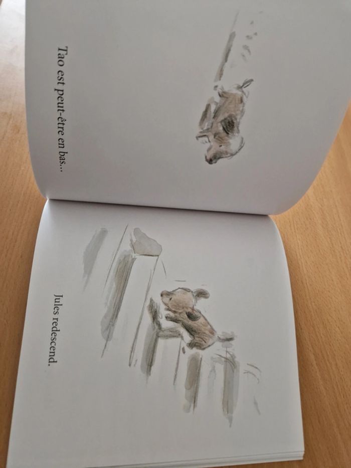 Livre Jules et Tao - photo numéro 3