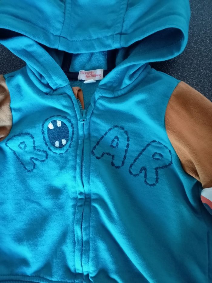 Veste à capuche - photo numéro 2