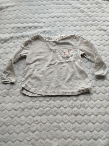 Tee shirt Zara 9- 12 mois 80 cm
