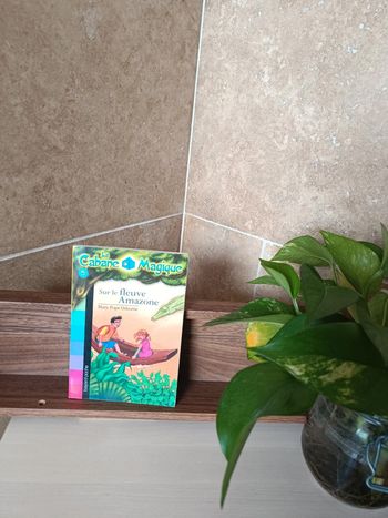 Livre la cabane magique