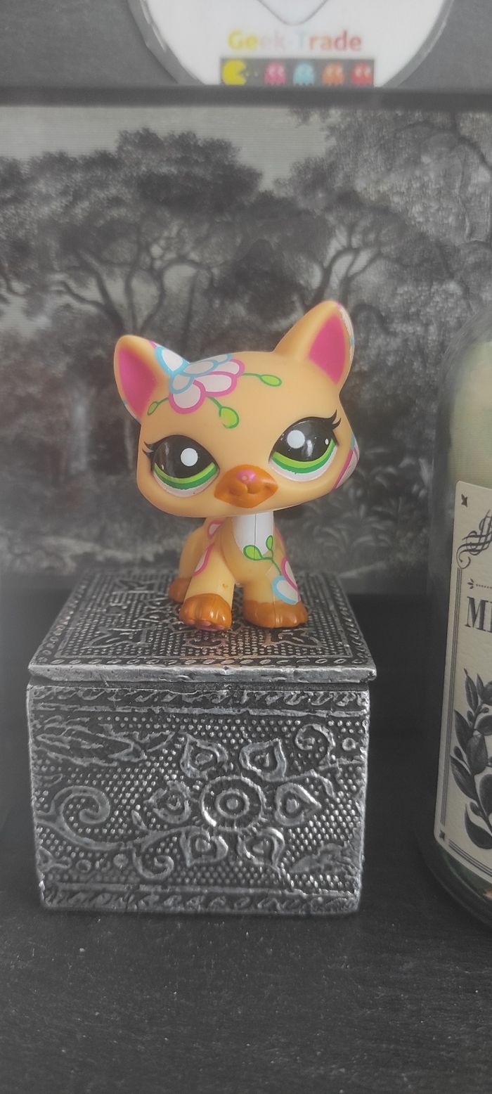 Littlest Petshop Pet Shop LPS Authentic Hasbro cat post Card Main Coon 1582 Chat - photo numéro 2