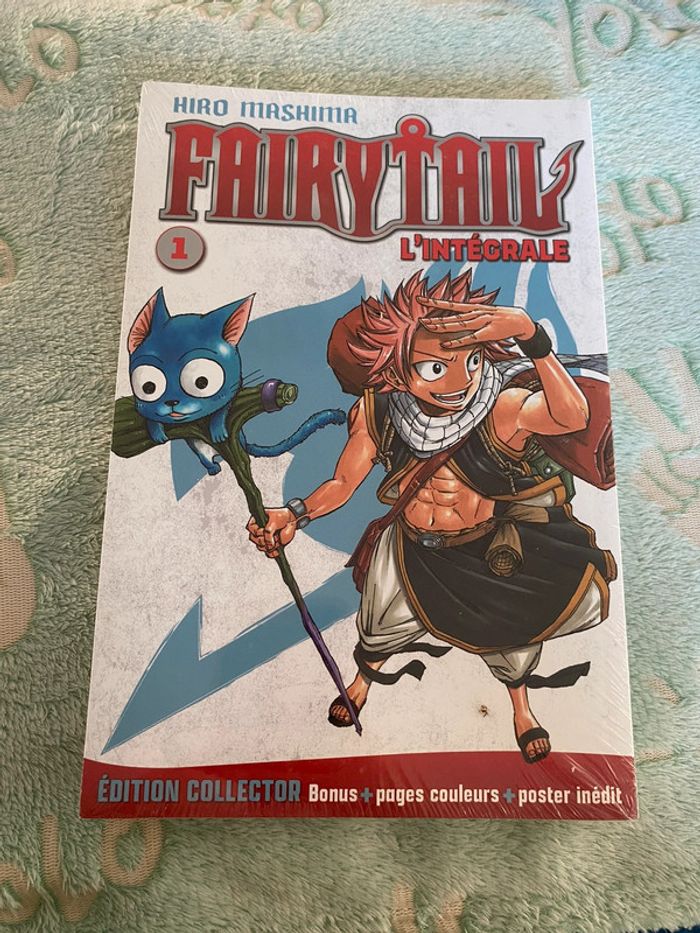 Fairy Tail grand format - photo numéro 2