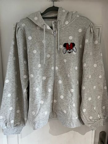 Sweat Minnie Disneyland resort taille XL