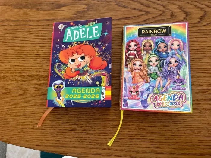 Lot agenda Mortelle Adèle  et Rainbow High