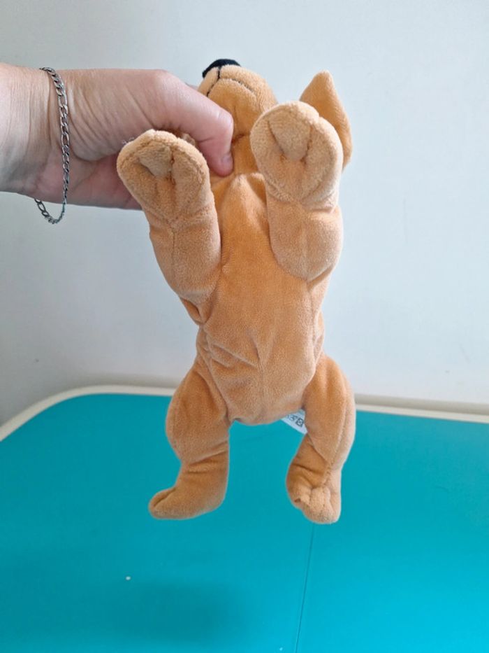 Chien neuf - photo numéro 3
