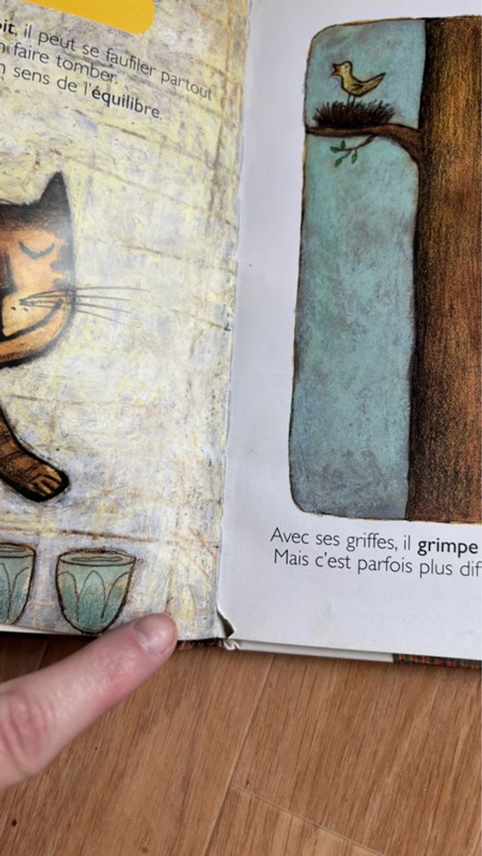 Livre les chat encyclopédie Larousse - photo numéro 7