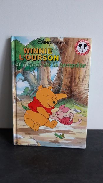 Winnie l'ourson et le jour de la tempête