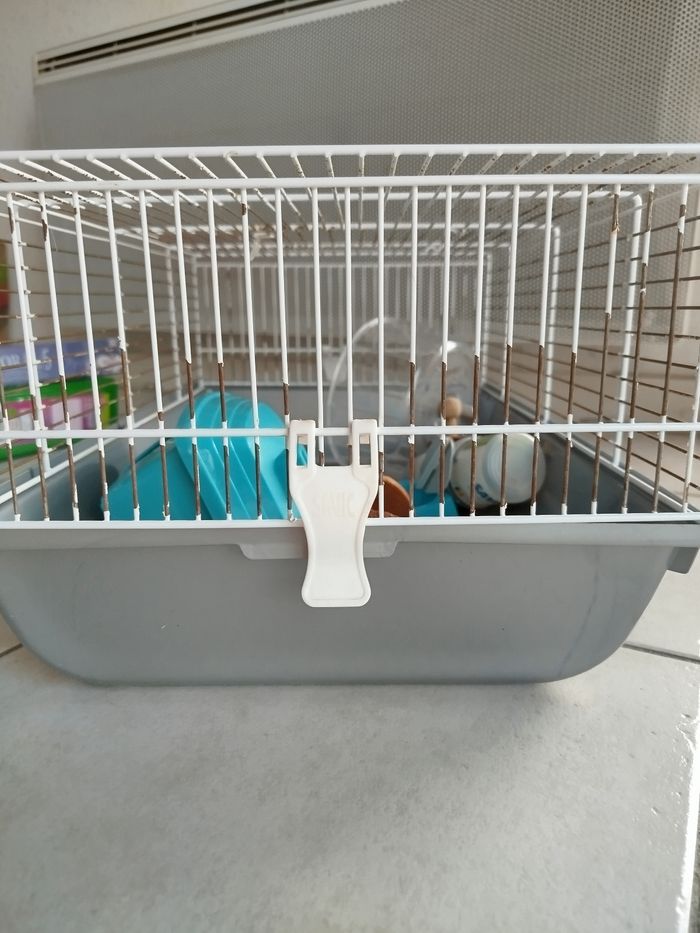 Cage à hamster taille 30x45 cm - photo numéro 17