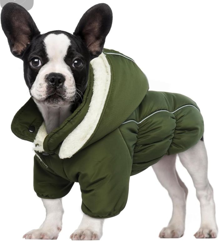 Habit pour petit chien XS. Manteau pour chiens hiver - photo numéro 6