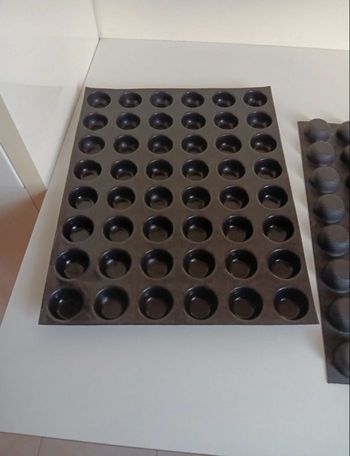 Moule Flexipan Demarle 48 empreintes 