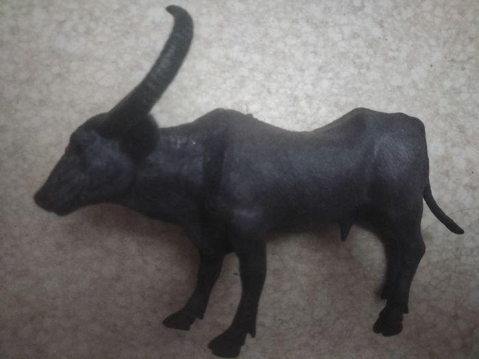 Lot animaux - photo numéro 5