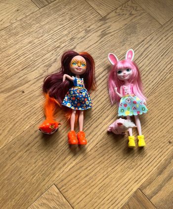 Lot de poupées enchantimals