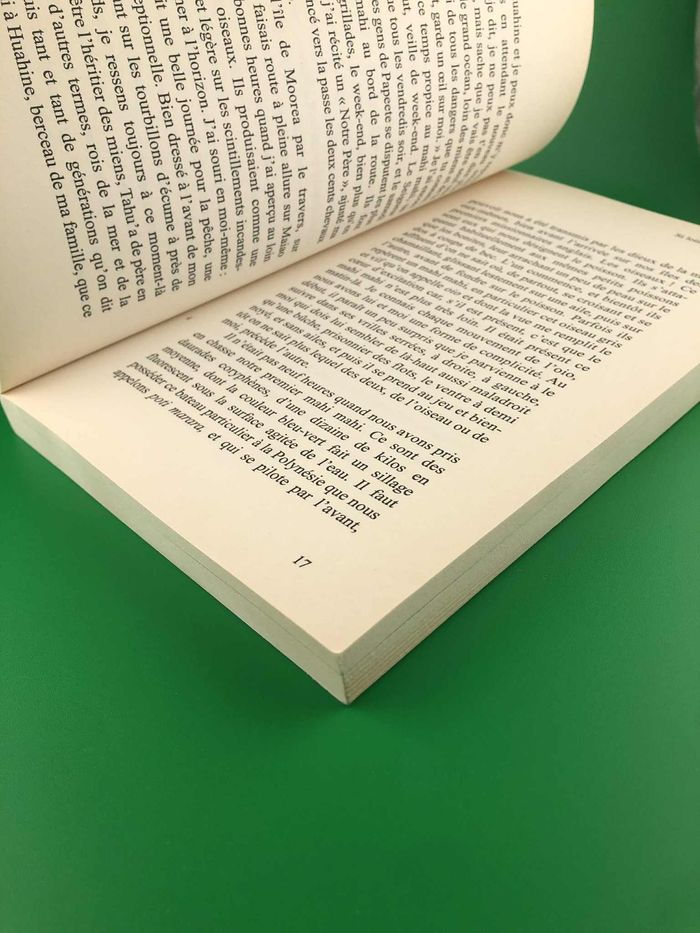 Si loin du monde - Tavae Raioaoa - photo numéro 3