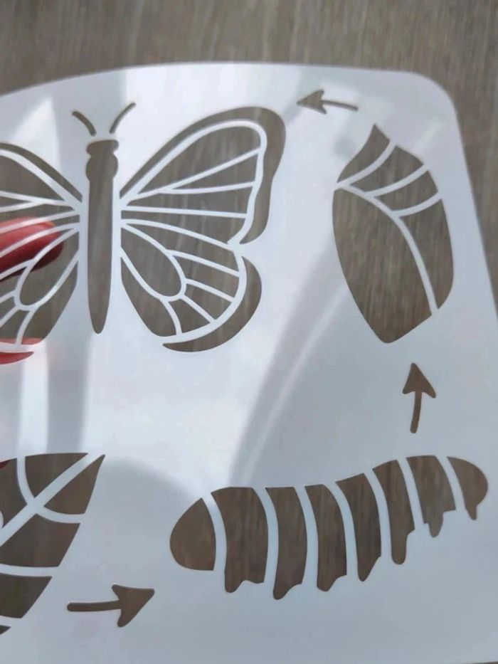 Pochoir du cycle de vie du papillon - photo numéro 4