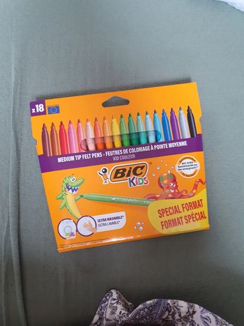 Lot 18 feutres bic ultra lavables