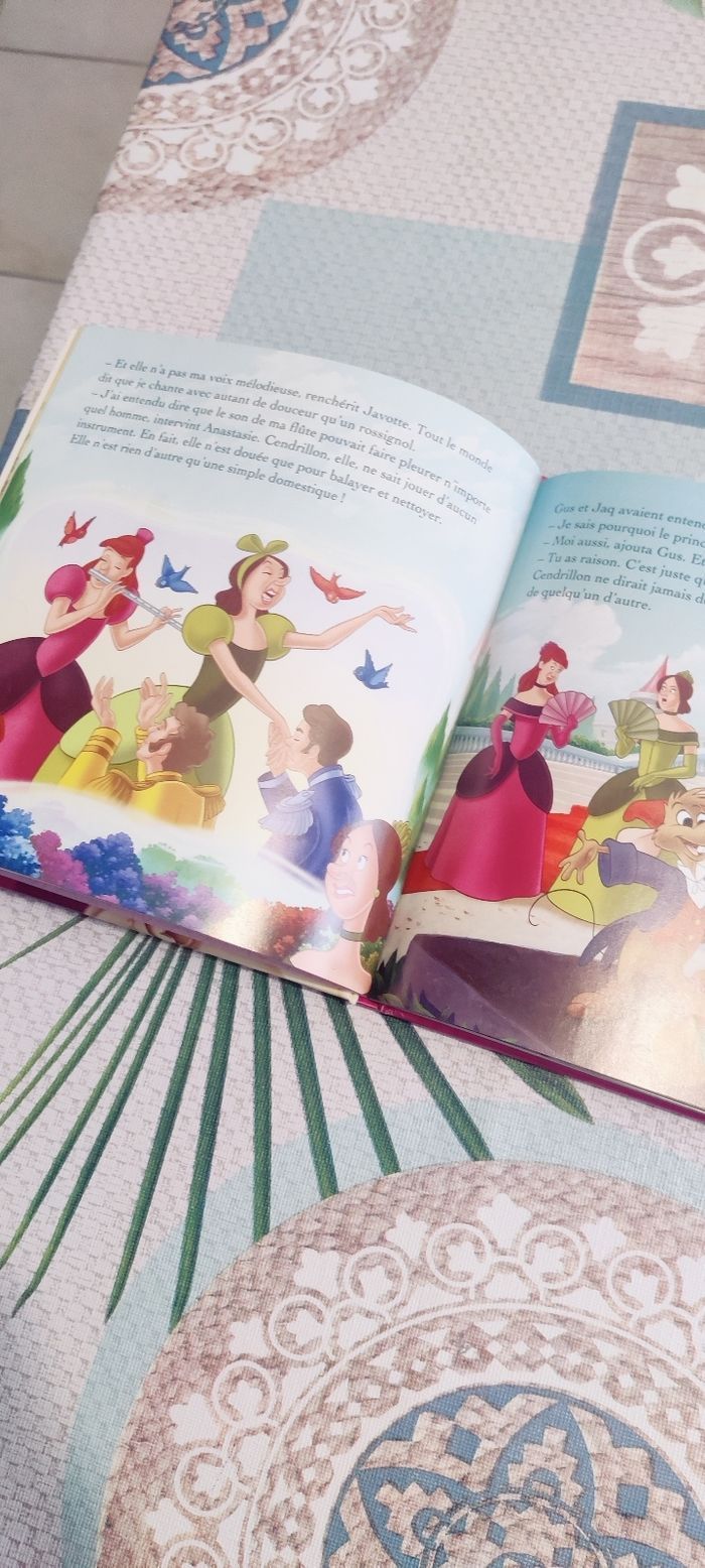 Livres Princesses - photo numéro 4