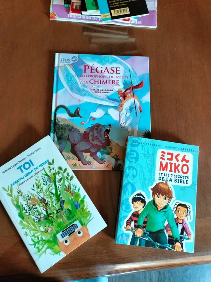2 livres et 1 bande dessinée 7 /10 ans - photo numéro 2