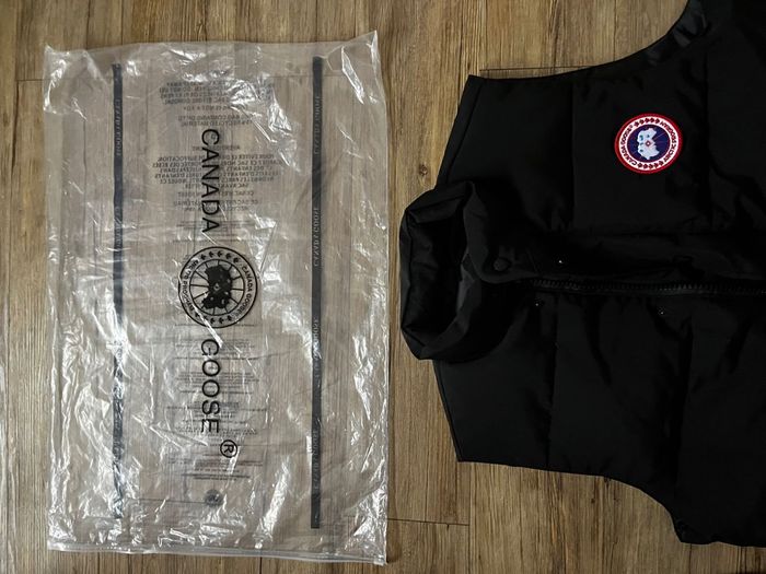 Canada goose - photo numéro 3