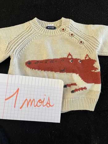 Pull 1 mois
