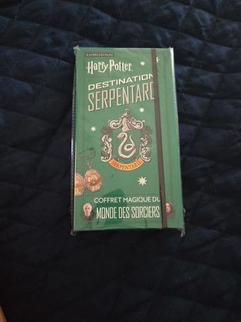 Destination Serpentard