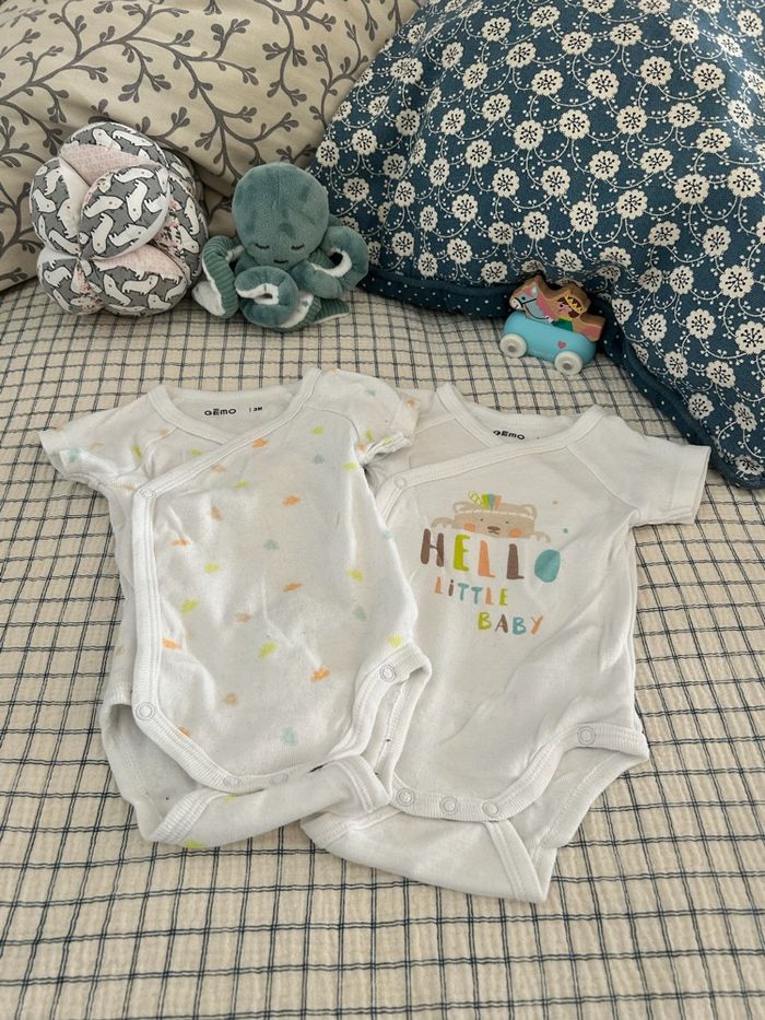 Lot de 2 bodies manches courtes