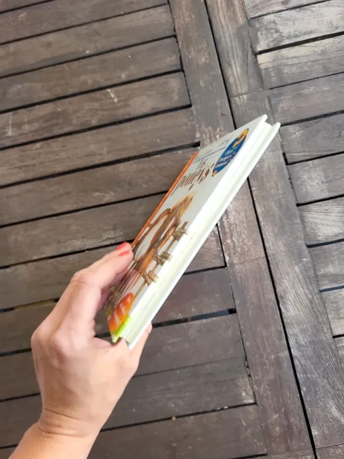 Livre enfant. - photo numéro 4