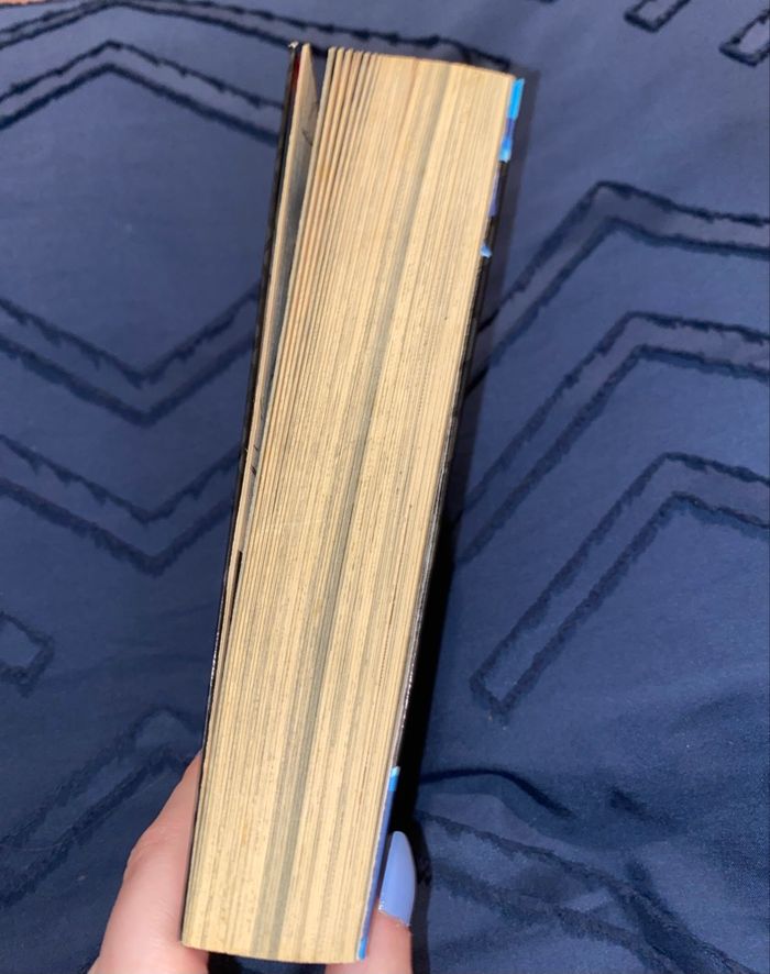 Pokémon Noir 2 & Blanc 2 - Manga - photo numéro 4