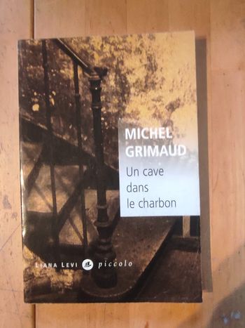 Un cave dans le charbon Michel Grimaud Liana Lévi 2006