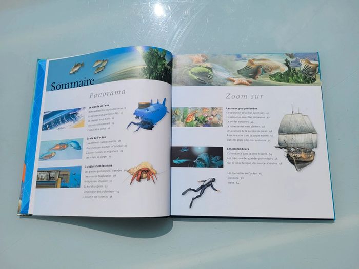 Livre Les Océans 🌊 à la loupe, éditions Larousse - photo numéro 6