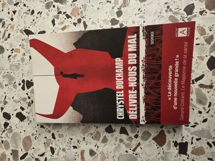 Délivre nous du mal - Chrystel Duchamp -