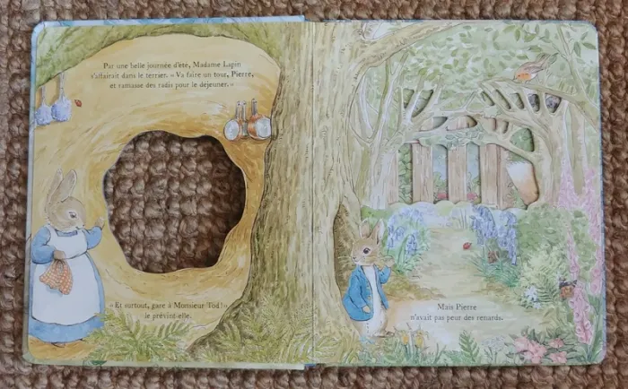 Cours vite, Pierre lapin! (2018) adapté des contes de Beatrix Potter - photo numéro 2