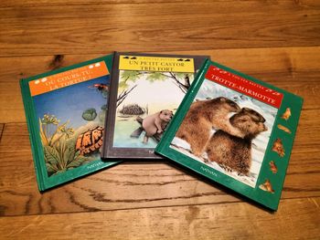Lot de 3 livres À toutes pattes