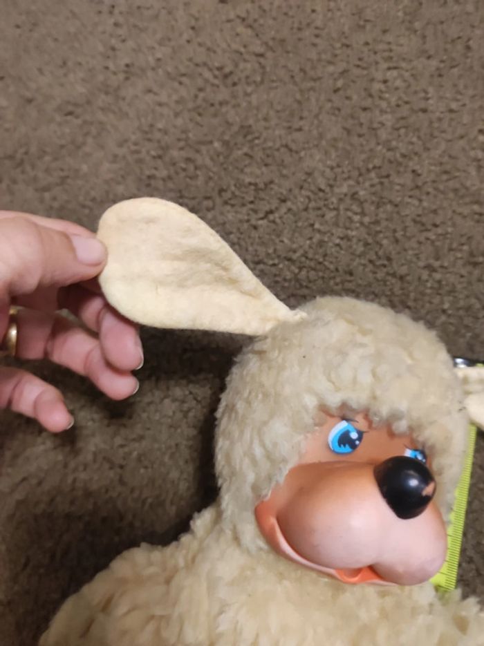 chien style kiki - photo numéro 3