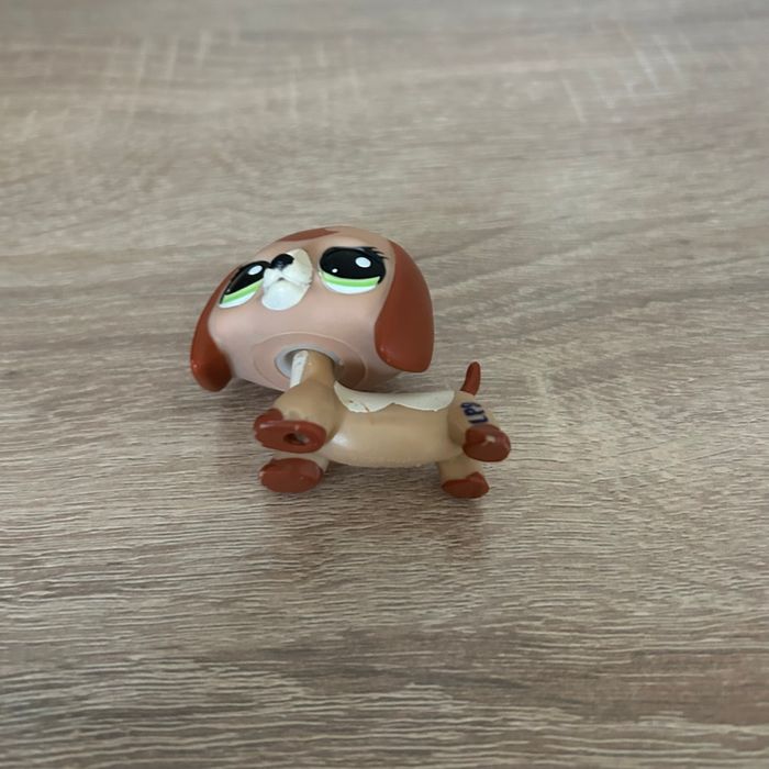 Petshop Teckel #2035 - photo numéro 3