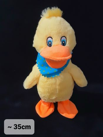 Canard chante et danse