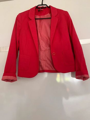 Blazer rose