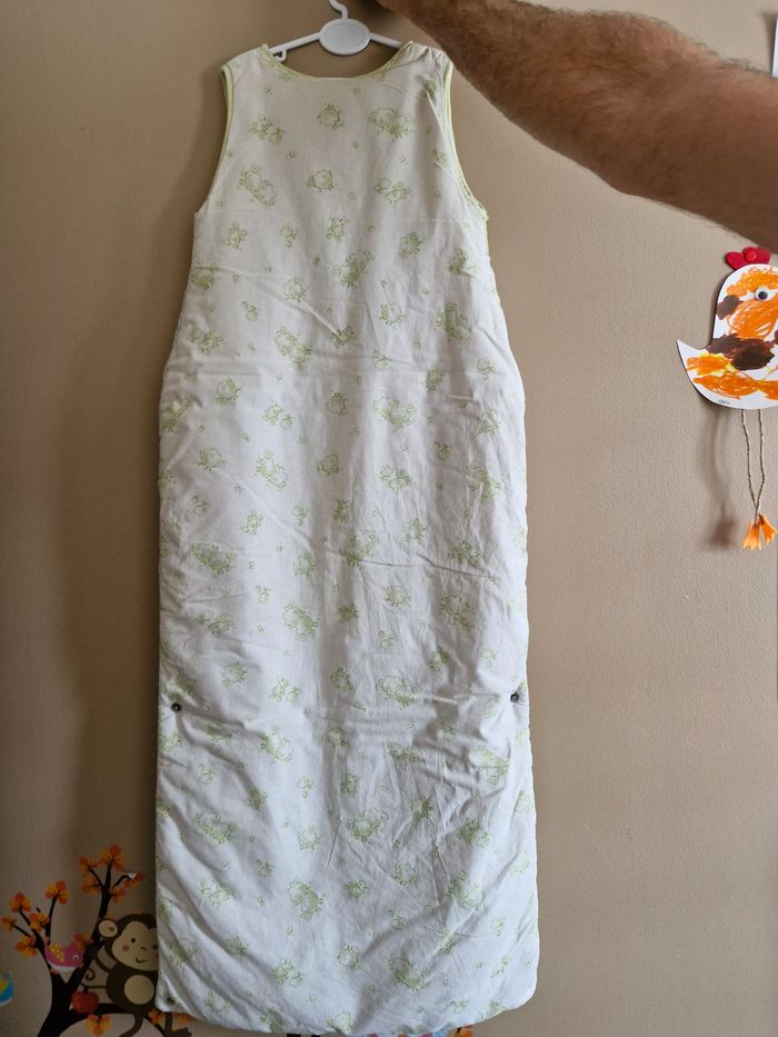 Grenouillère - photo numéro 2