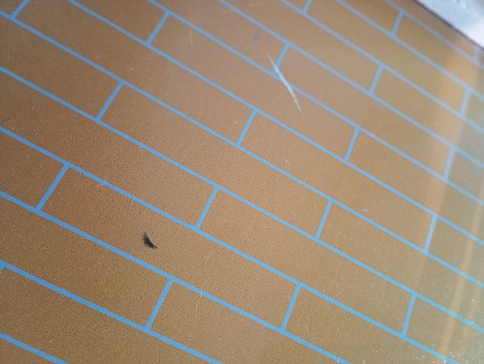 Maison en bois avec accessoires - photo numéro 6