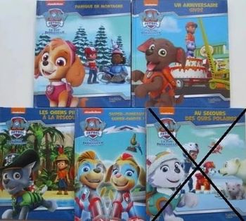 Livres Paw Patrol - La Pat'Patrouille au choix
