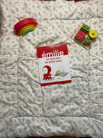 livre émilie ne veut plus de petite soeur tome 26 éditions casterman