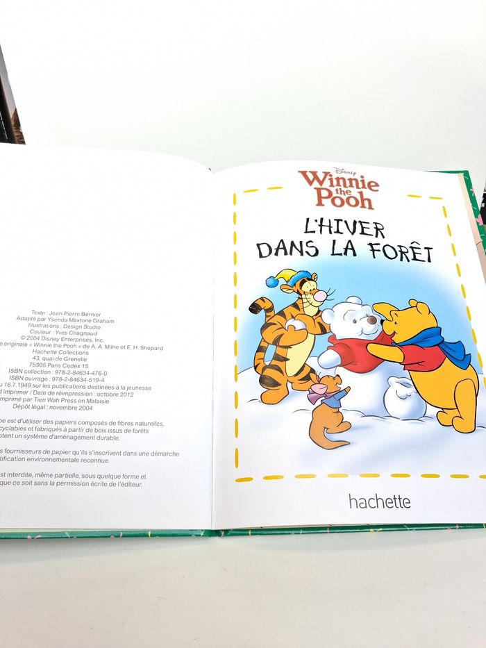 Livre Disney Winnie l'ourson L'hiver dans la forêt - photo numéro 4