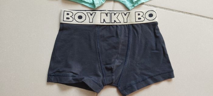 Boxer - photo numéro 3