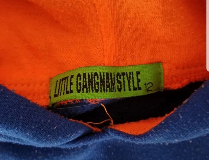 Sweat gangnam style - photo numéro 4