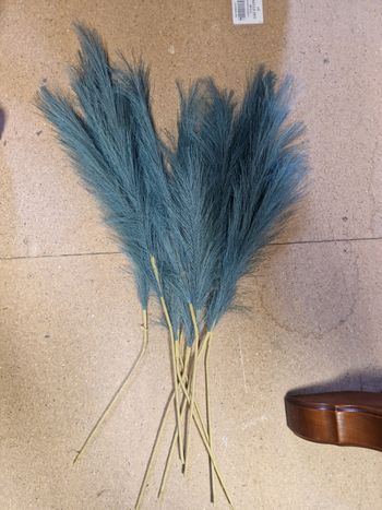 Fleur de pampas